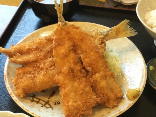 平成29年　千歳市　柳ばし　きゅうり魚フライ定食